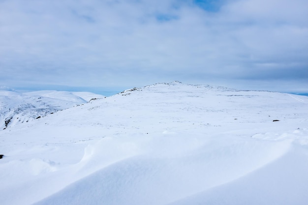 写真 雲の空を背景に雪で覆われた畑の景色