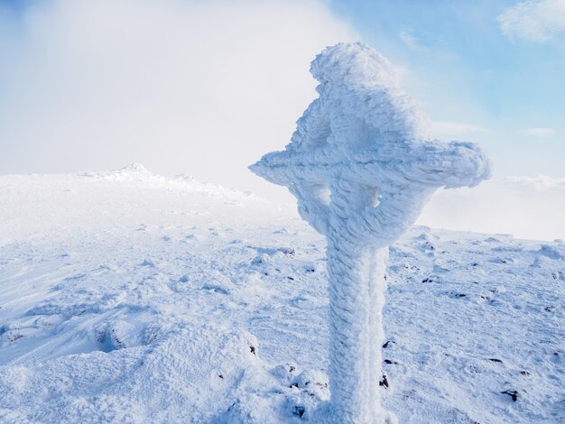 写真 空を背景に雪に覆われた畑の景色