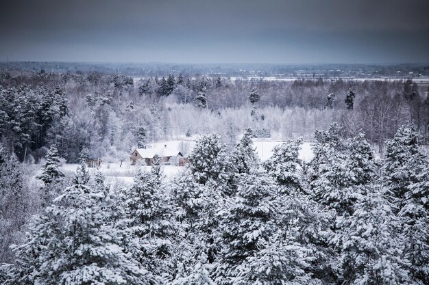 写真 空を背景に雪に覆われた土地の風景