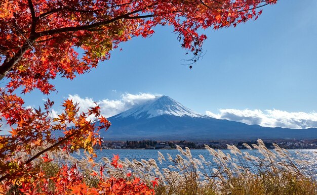 写真 秋 の 空 に 対し て 雪 に 覆わ れ た 山 の 景色