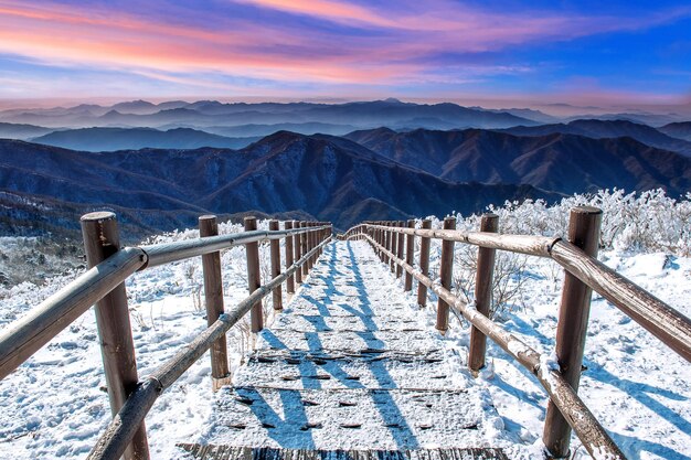 写真 天空 に 対し て 雪 に 覆わ れ た 山 の 景色