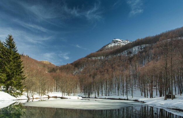 写真 天空 に 対し て 雪 に 覆わ れ た 山 の 景色