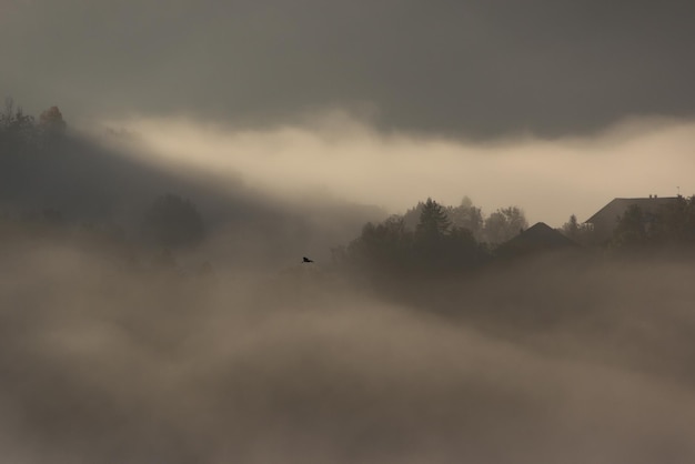 写真 嵐の雲の景色