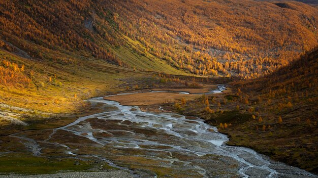 Фото Красивый вид на ручей, протекающий через скалы