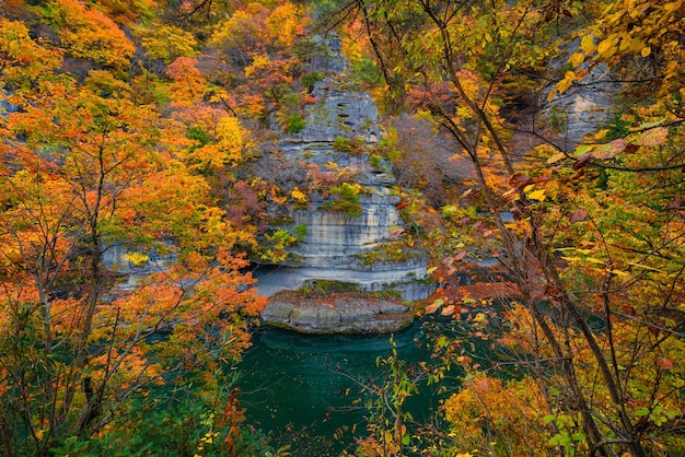 写真 秋の森の小川の風景