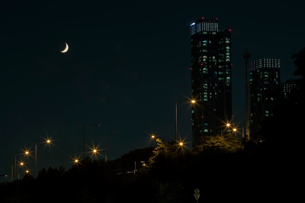 사진 밤 에 거리 조명 들 의 경치적 인 풍경