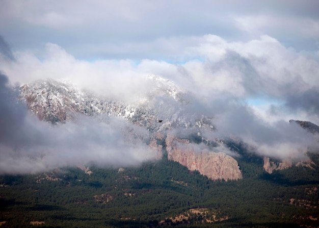 写真 空の背景にある木の山の景色