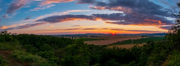 写真 夕暮れ の 時 の 空 に 照らさ れ て いる 樹木 の 景色