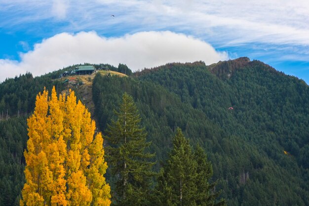 写真 空の背景にある木や山の景色