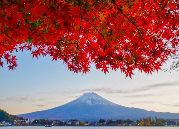 写真 秋の空を背景に山の木の景色