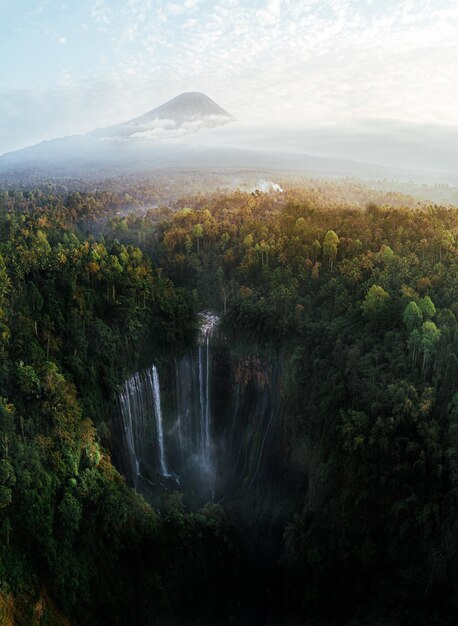 写真 空の背景にあるの景色