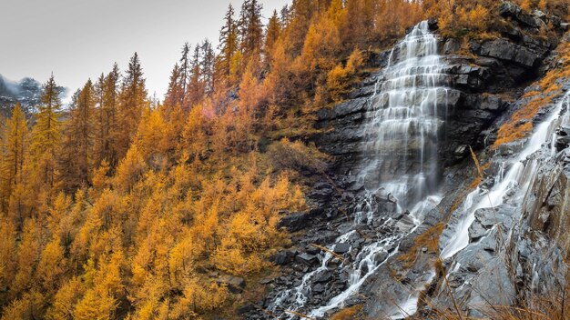 写真 秋のの景色