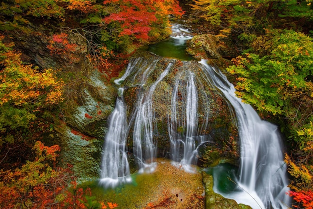 写真 秋の森の ⁇ の景色