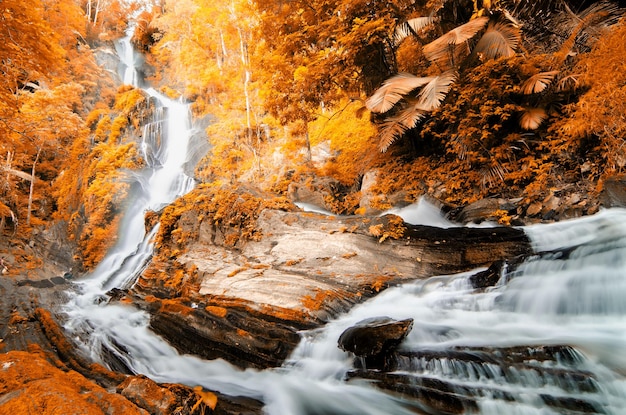Фото Сценический вид водопада в лесу осенью