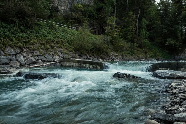 Фото Сценический вид водопада в лесу