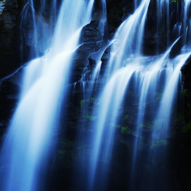 写真 の景色