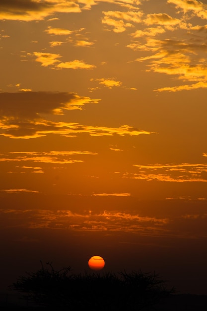 Photo scenic view of orange sky at sunset