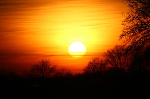 Photo scenic view of orange sky