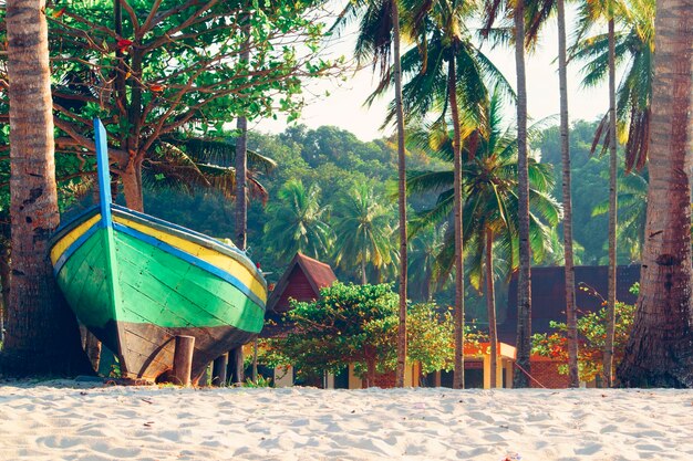 Scenic view of palm trees on beach