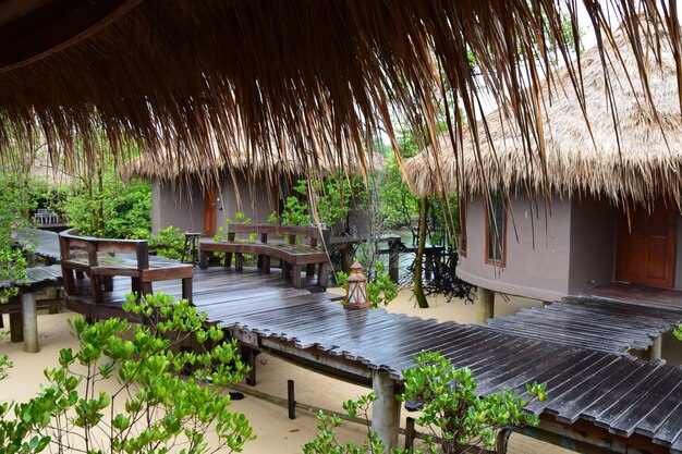 Scenic view of palm trees and plants