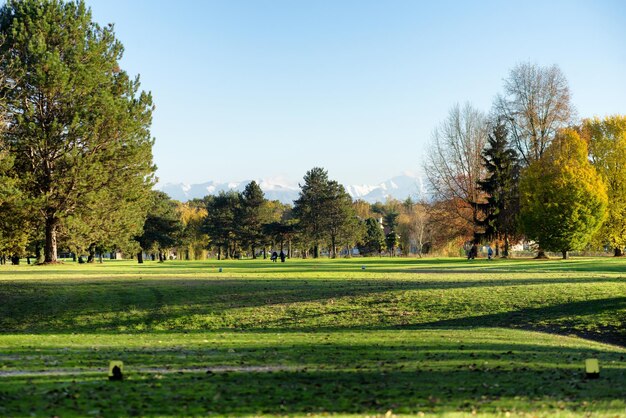 Foto vista panoramica del parco contro un cielo limpido