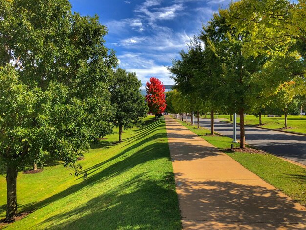 Photo scenic view of park against sky