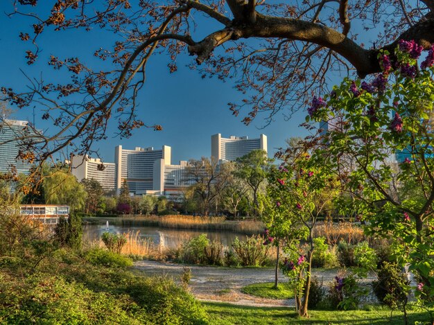 Photo scenic view of park by buildings against sky