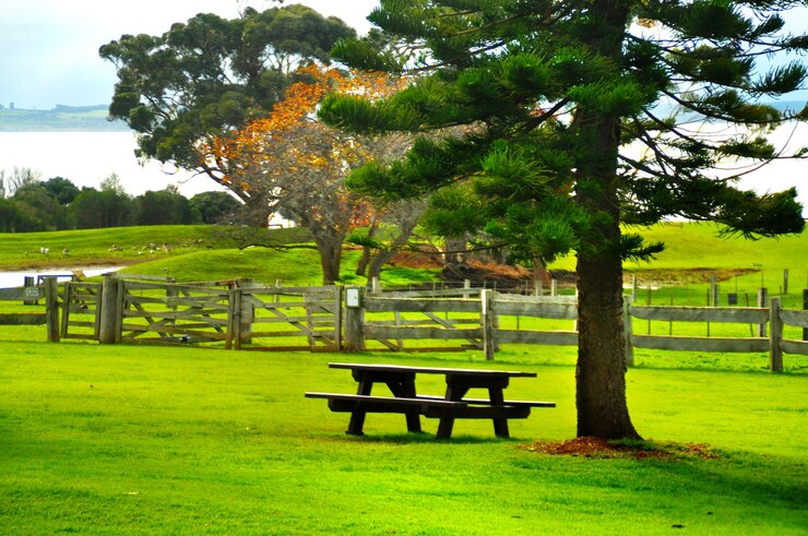 फोटो scenic view of park
