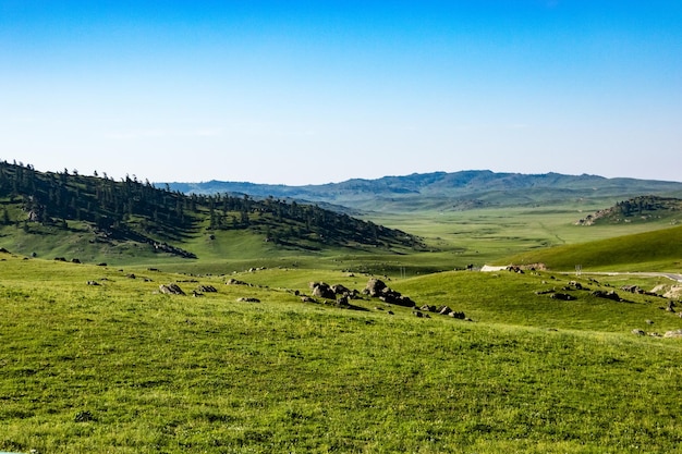 Foto la vista panoramica del pascolo