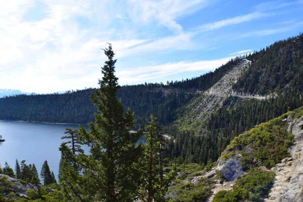 Foto la vista panoramica dei pini sul lago contro il cielo