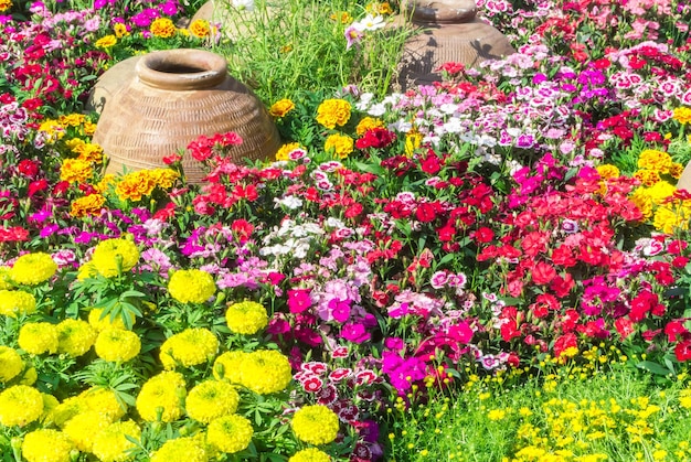 Scenic view of pink flowering plants