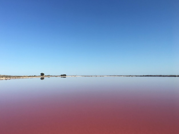 Foto vista panoramica del lago salato rosa contro un cielo blu limpido