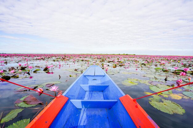 Scenic view of pink and sea against sky