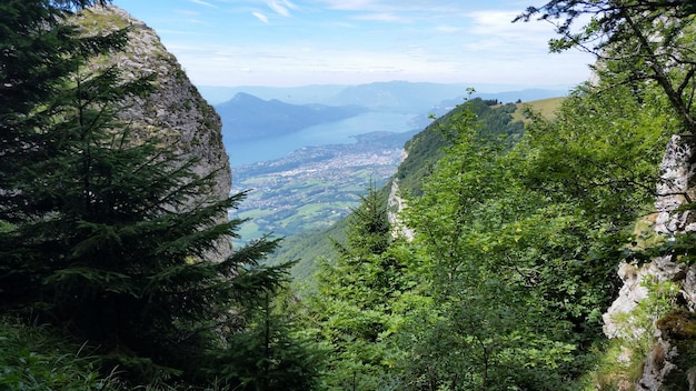 雲の空に照らされた山の植物の景色