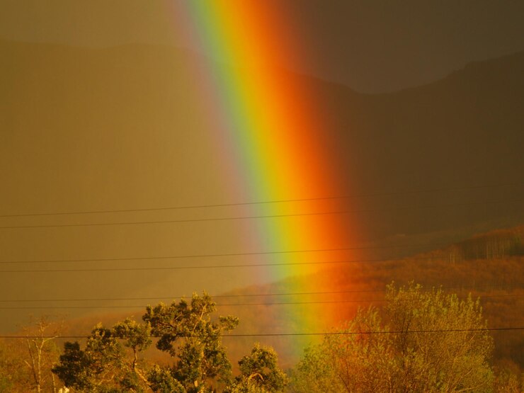 फोटो scenic view of rainbow against sky at sunset