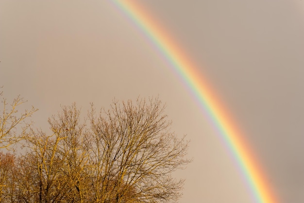 Photo scenic view of rainbow against sky