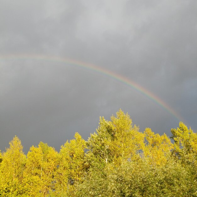 Scenic view of rainbow against sky