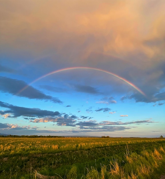 Photo scenic view of rainbow over field against sky during sunset