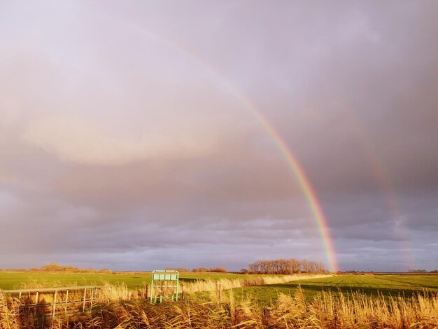 Scenic view of rainbow over field against sky