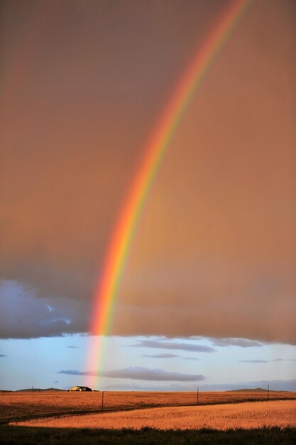 scenic view of rainbow over land against sky