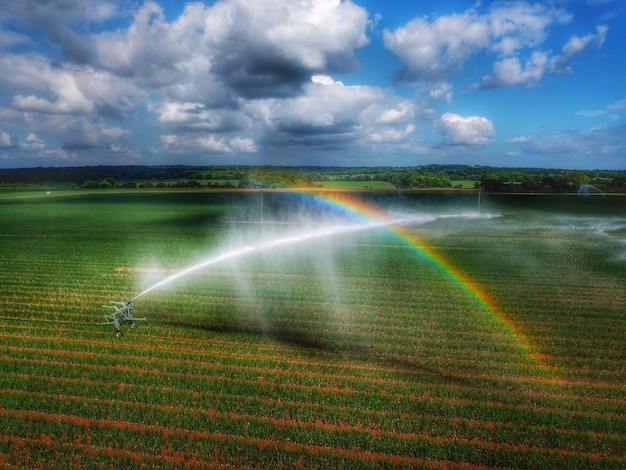 Foto vista panoramica dell'arcobaleno sulla terra contro il cielo