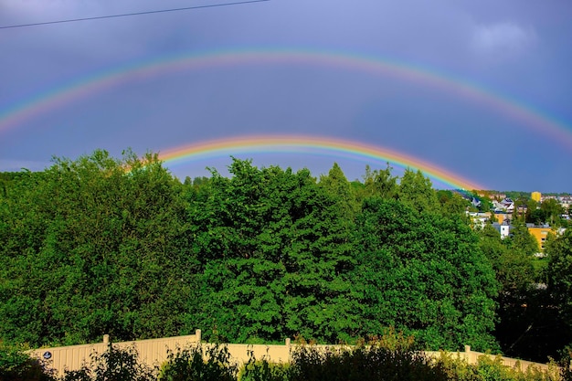 Foto la vista panoramica dell'arcobaleno sopra gli alberi