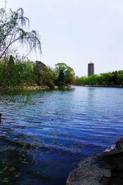 Scenic view of river against clear sky