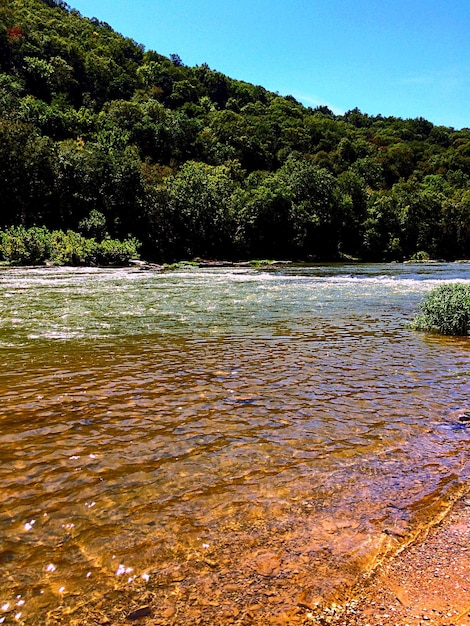 Foto la vista panoramica del fiume contro le verdi montagne