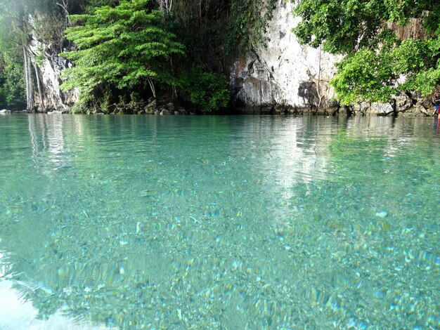 Scenic view of river against rock formation