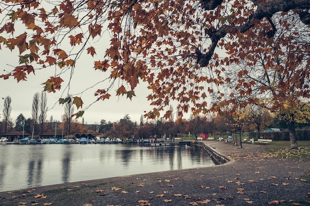 가을 에 하늘 을 배경 으로 강 의 풍경