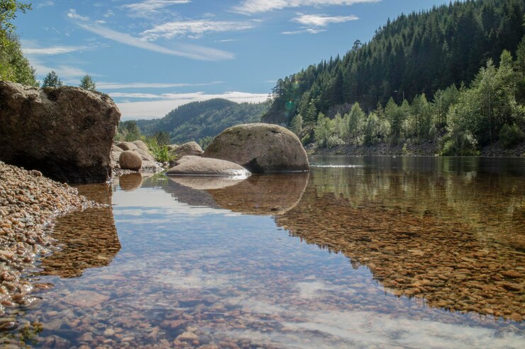 Фотография вид на реку на фоне неба