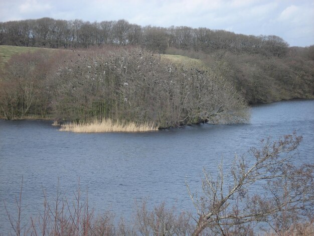 Scenic view of river against sky