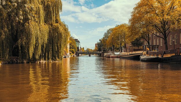 Scenic view of river against sky