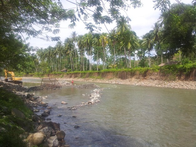 Scenic view of river against sky